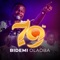 Olorun - Bidemi Olaoba lyrics