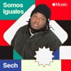 Somos Iguales - Single