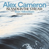 Alex Cameron - Islands In The Stream