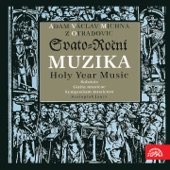 Michna: Holy Year Music artwork