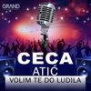 Volim Te Do Ludila - Single