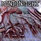 Screaming for Nothing - Mindinsight lyrics