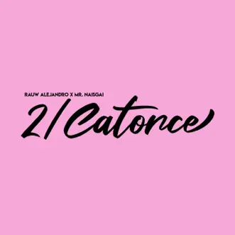 2/Catorce - Single by Rauw Alejandro & Mr. Naisgai album reviews, ratings, credits