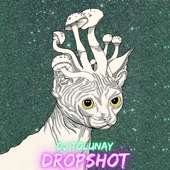 Drop Shot artwork