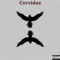 Corvidae the King - Saint Cole lyrics