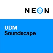 Soundscape (Extended Mix) artwork