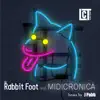 Rabbit Foot (feat. Midicronica) - Single album lyrics, reviews, download