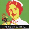 Planta E Raiz - Aquele Lugar
