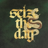 SEIZE THE DAY (feat. Savage) artwork