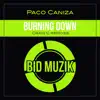 Burning Down - Single album lyrics, reviews, download
