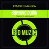 Stream & download Burning Down - Single