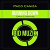 Burning Down - Single, 2021