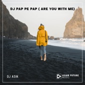 DJ Pap Pe Pap (Are You With Me) artwork
