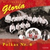 Polkas, Vol. 6