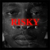 Risky Life artwork