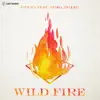 Wild Fire (feat. Misha Miller) - Single album lyrics, reviews, download