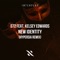 New Identity (Hypersia Extended Remix) - D72, Kelsey Edwards & Hypersia lyrics