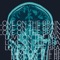 Love on the Brain - The Citie lyrics