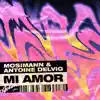 Stream & download Mi Amor