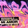 Mi Amor - Single