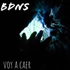 Voy a Caer - Single