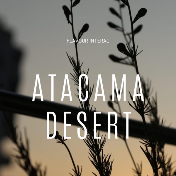 Atacama Desert