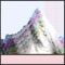 Himalaya - Modern Aquatic lyrics