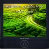 Mindfullness: Meditation Music (Nature Sounds) album lyrics, reviews, download