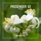Amalfi - Passenger 10 lyrics