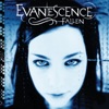 Bring Me To Life by Evanescence iTunes Track 1
