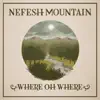 Stream & download Where Oh Where (feat. Jerry Douglas, John Doyle, Michael McGoldrick & Jeff Taylor) - Single