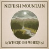 Where Oh Where (feat. Jerry Douglas, John Doyle, Michael McGoldrick & Jeff Taylor) - Single