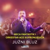 Južni Bluz (feat. Orkestar Ace Sofronijevića), 2018
