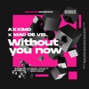 Without You Now - Single