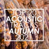 Top 20 Acoustic Tracks Autumn 2021 (Instrumental), 2021