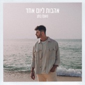 אהבות ליום אחד artwork