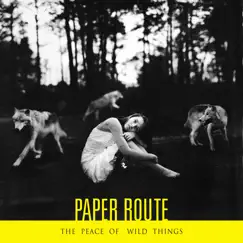 The Peace of Wild Things by Paper Route album reviews, ratings, credits