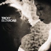 Tricky - Something In the Way