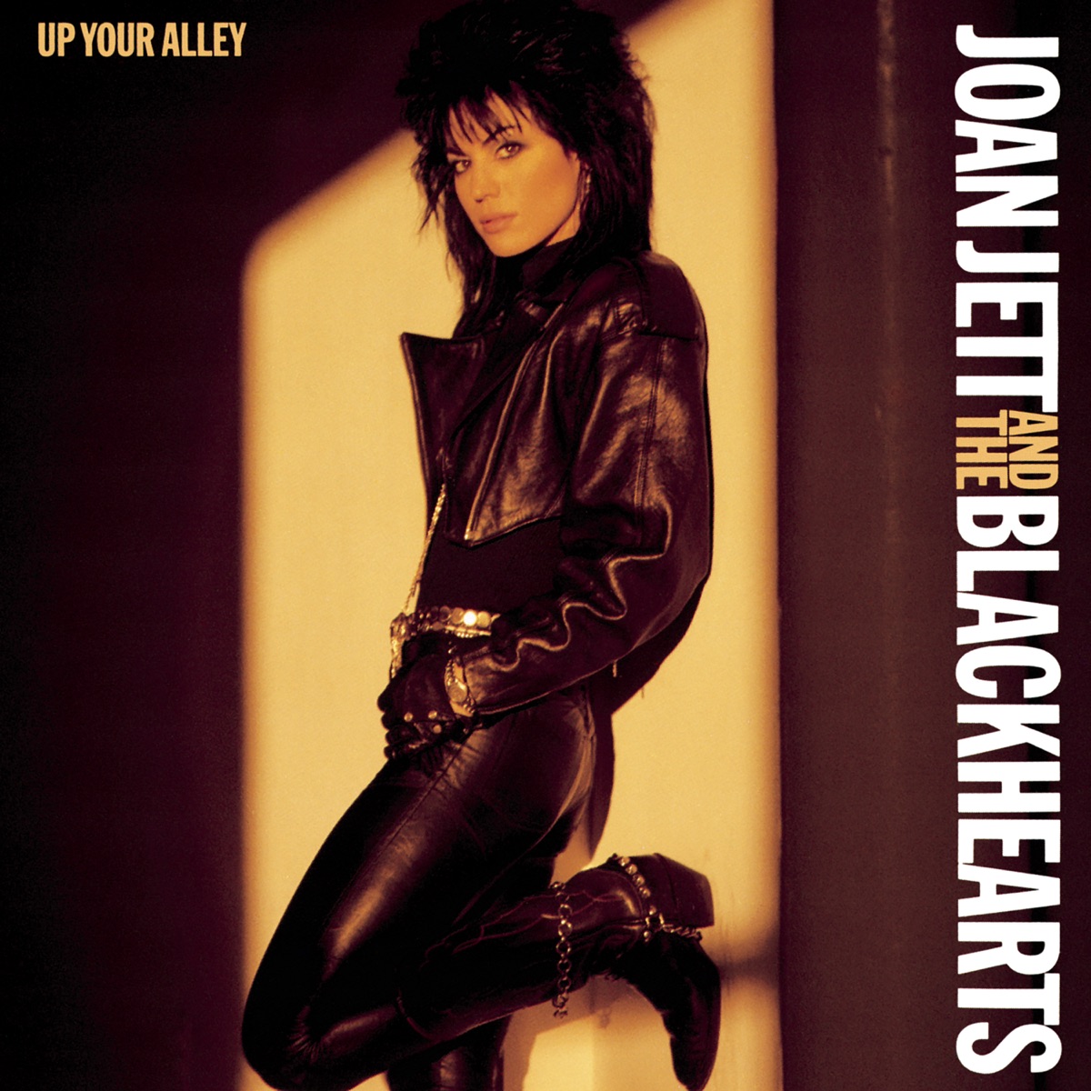 Joan Jett & The Blackhearts – I Wanna Be Your Dog: слушать и скачать mp3  песню