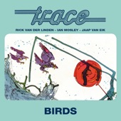 Birds (feat. Rick van der Linden, Ian Mosley & Jaap Van Eik) [Single Version] artwork
