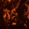 Never Invited Remix (feat. Flowdan, Lewi B. & Novelist) - Single