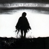 Neil Young - One of These Days