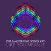 Stream & download Like You Mean It (feat. Sonya Kay) - Single