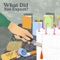 What Did You Expect (feat. Shuko) artwork