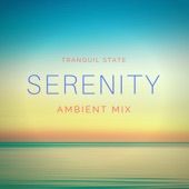 Serenity (Ambient Mix) artwork