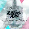 Best of Kolohe Kai (Acoustic) album lyrics, reviews, download