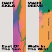 East of the Sun artwork