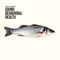 American Natives - Sound Behaviour lyrics