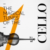 Cello Sonata No. 1 in E Minor, Op. 38: I. Allegro non troppo artwork