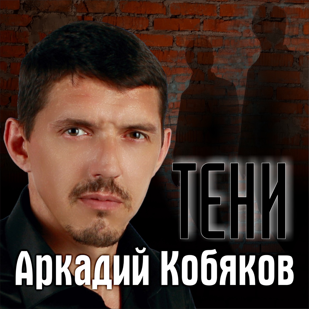 Аркадий Кобяков – Тени: слушать и скачать mp3 песню